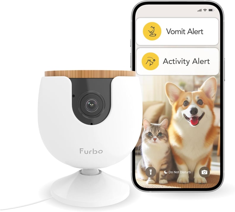 Best Prime Day Deal on a Pet Camera