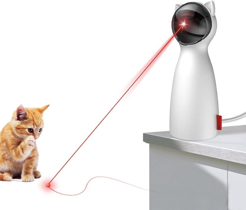 Best Prime Day Deal on a Laser Toy