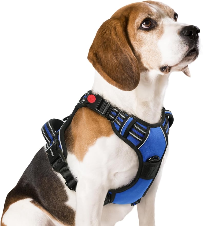 Best Prime Day Deal on a Pet Harness